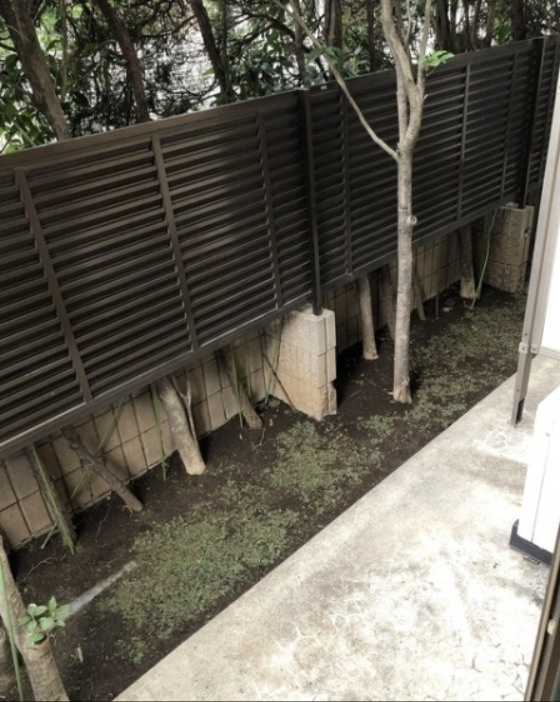 立花ハイツ　礼金０　テラス　角部屋　南西角住戸のバルコニー