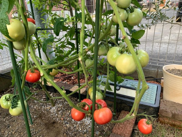 さいたま市西区水判土　中古戸建