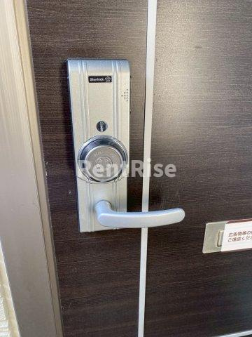 ベル ミラコスタのその他