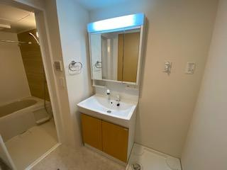 【洗面所】 | Front du lac（フロン　デュ　ラック） | 洗髪洗面化粧台