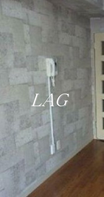 【セキュリティ】 | ライオンズガーデン新宿 | インターホンです。