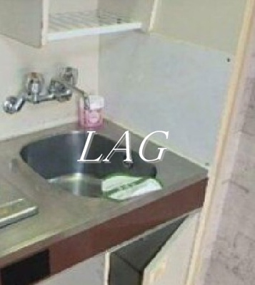 【その他】 | ライオンズガーデン新宿