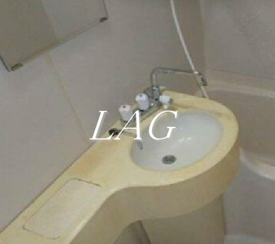 【洗面所】 | ライオンズガーデン新宿 | 洗面台です。