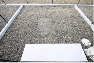 【庭】 | Four Leaf Clover