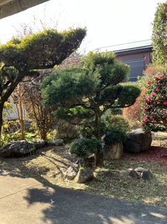 【庭】 | 神宮２丁目　土地建物