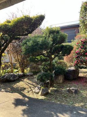 【庭】 | 神宮２丁目　土地建物