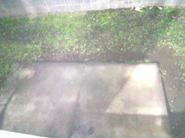 フォレスタ流山のバルコニー|＊イメージです