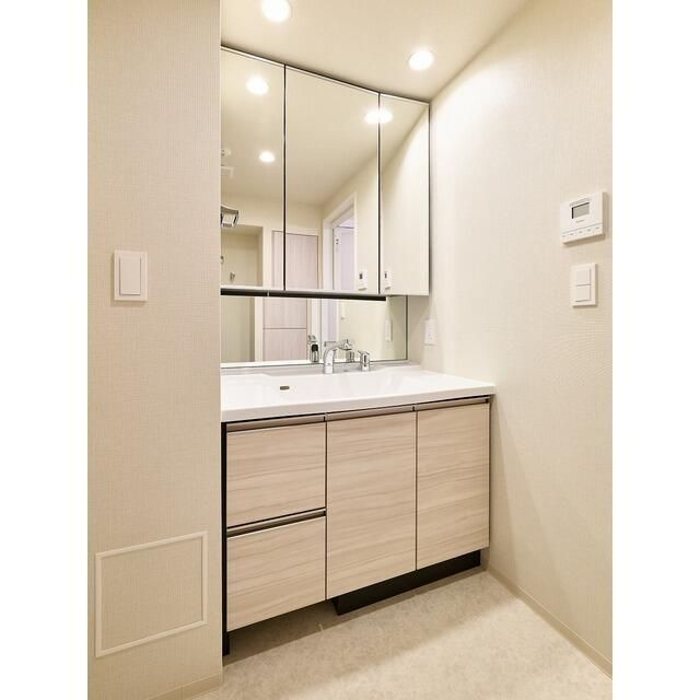 コンフォリア・リヴ西大島SOUTHの洗面所