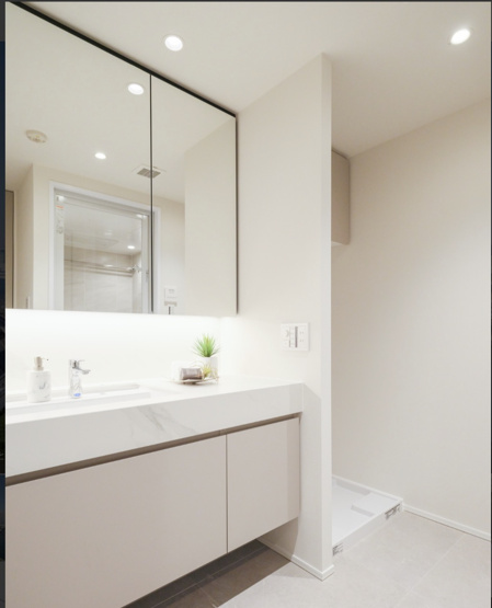 【独立洗面台】 | ★仲介手数料無料★THE TOWERS DAIBA EAST（お台場のシンボルタワーレジデンス）