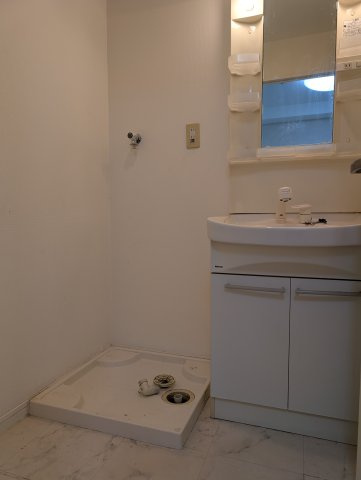 レジディア薬院大通の洗面所