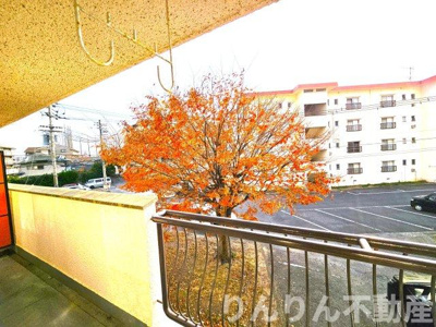 【展望】 | 第2三宅ビル