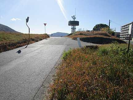 安佐南区川内1丁目の庭