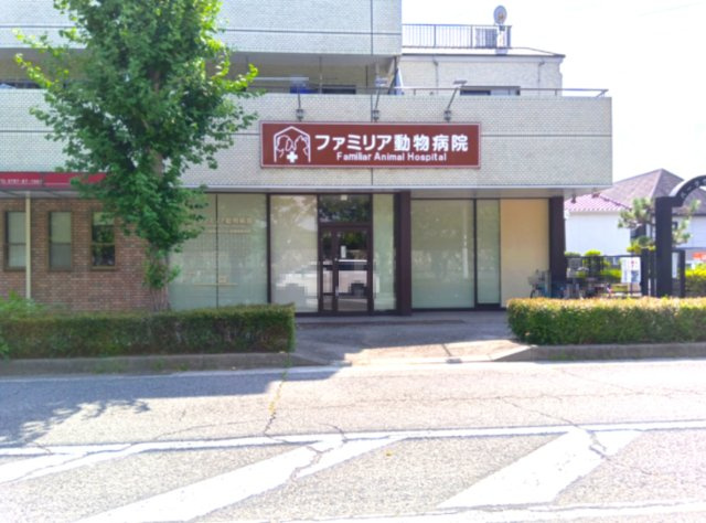 宝塚市安倉南4丁目　土地の周辺|ファミリア動物病院が約600ｍ圏内にございます。