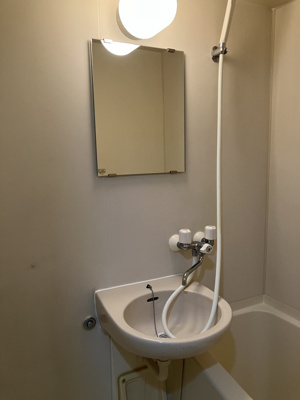 【洗面所】 | ピロ・ルシュリカ