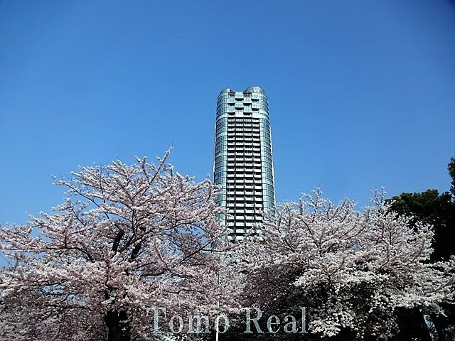 パークコート赤坂檜町ザタワーの外観