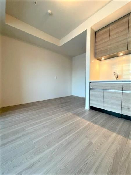 白金ザ・スカイ東棟の居間・リビング