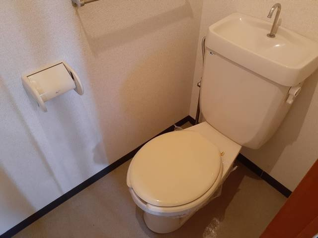 グランドシティ白樺Ⅱのトイレ