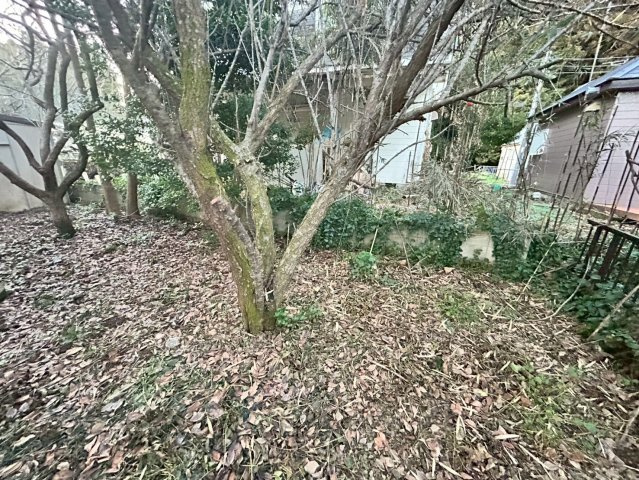 鉾田市飯名　中古戸建の庭