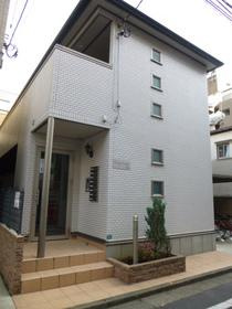 グリーンシーダ