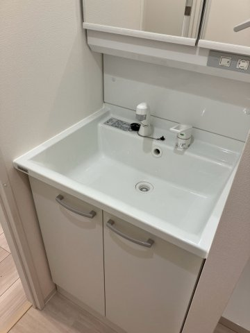 ベルグレード浅草DUEの洗面所