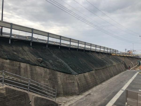 チェリー　ブランカの展望