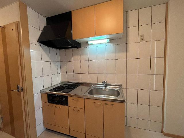 Ｓｕｎ　ｐｉａ　Ｖｉｌｌａｇｅのキッチン|システムキッチン