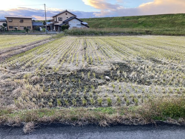 売土地　安八郡安八町牧　316.71坪の外観