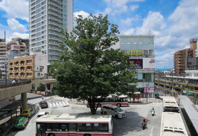 【周辺】 | グランデール三鷹