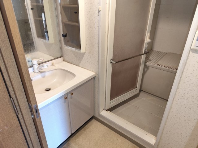 セザール第六赤塚公園の独立洗面台