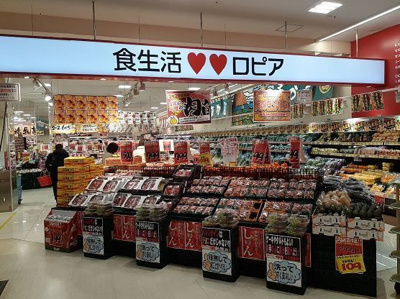 【その他】 | ソグナーレ