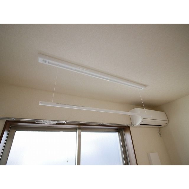 wisteriaのその他