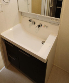 ステーションフロント浅草の洗面所