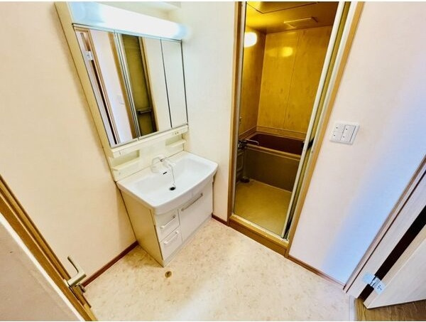 パークサイド大和園の洗面所