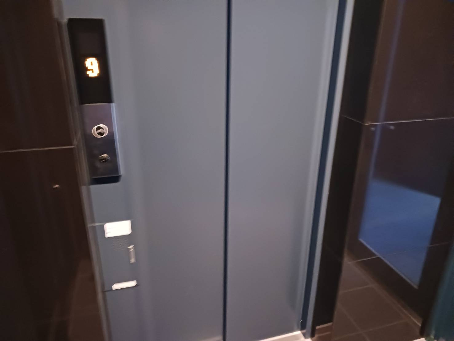 ステイビルⅡのその他