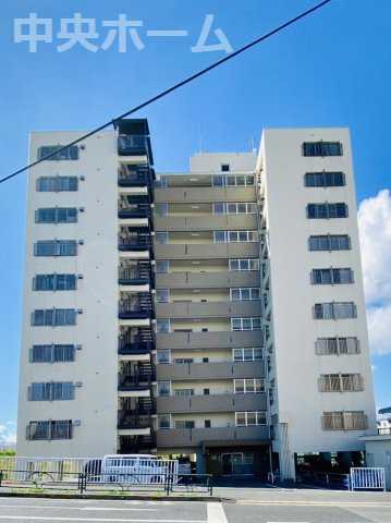ニューハイツ中川の現況写真|現況写真