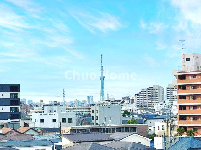 ニューハイツ中川の展望|手を伸ばせば、ふれることが出来そうな環境が、そのままインテリアになったような印象です。その豊かな眺望にふさわしい空間には、通風・採光にも優れ、心地よい光と風があふれています