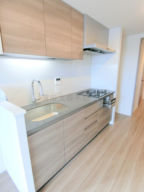 スタイリオ池上SOUTHのキッチン