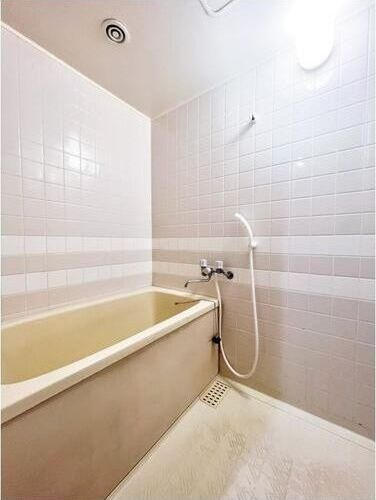 ドリーム中加賀屋の浴室