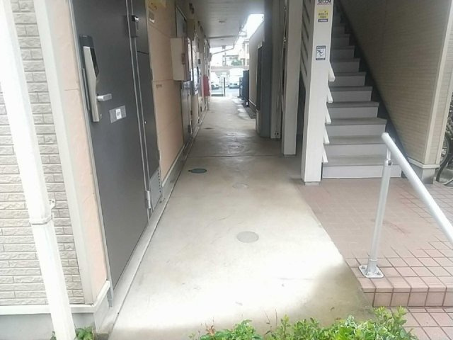 レオネクストシェーンシャインのその他