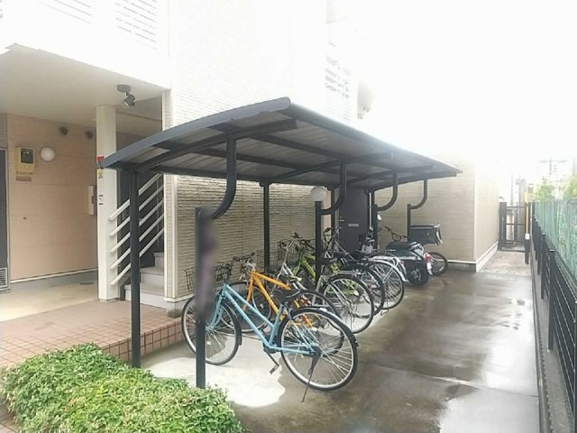 レオネクストシェーンシャインのその他