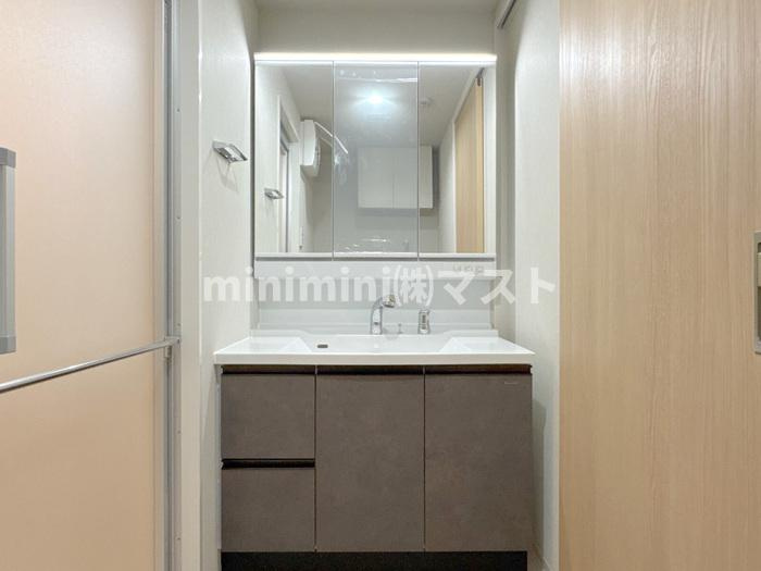 D-ROOM帝塚山の洗面所