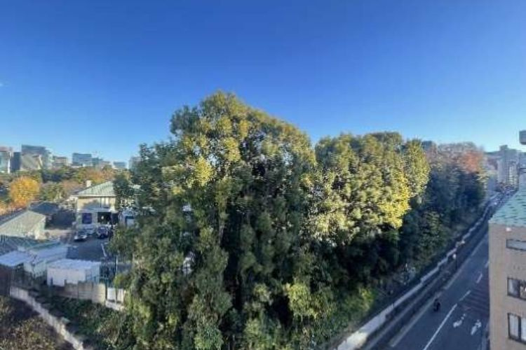 ニューライフ一番町の展望