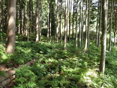  | 朝来市和田山町白井 戸建て