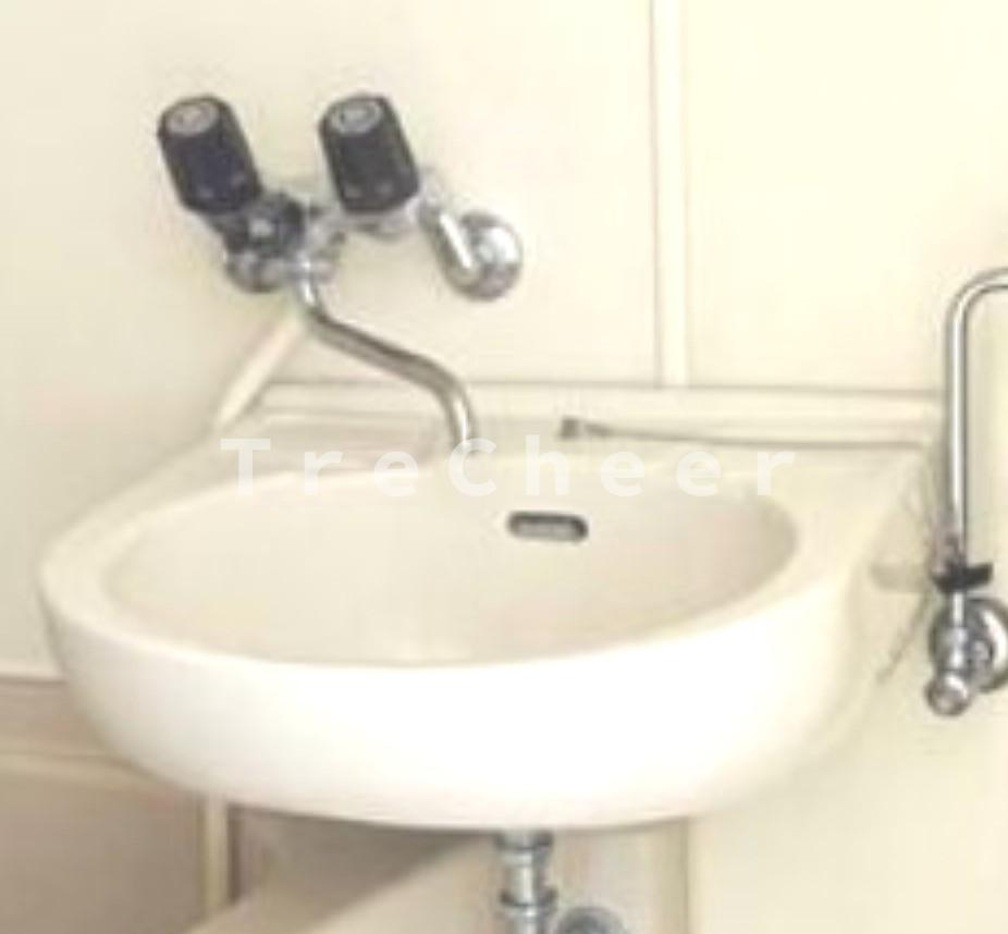 ジュネスIWATAの洗面所