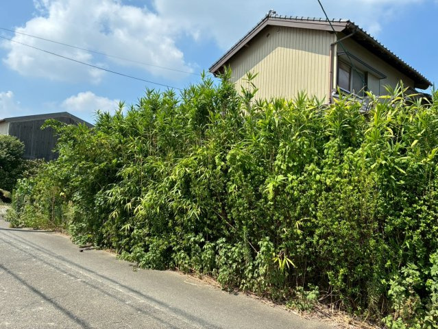 宮ノ陣6丁目1637‐2の前面道路含む現地写真
