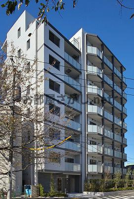 エスティメゾン哲学堂【おとり物件なし】#社会人向け #一人暮らし