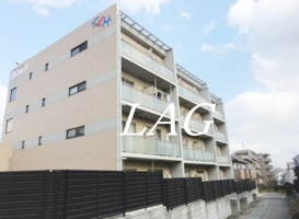 ミリアビタＮＯ．１１の画像