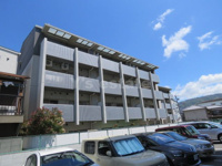 プロスペリテの画像