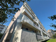 多摩川住宅ト－8号棟の画像