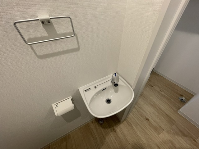 イリス堀越の洗面所